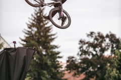 525C3684-Edit